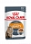 Консервы Royal Canin Intense Beauty в желе для взрослых кошек