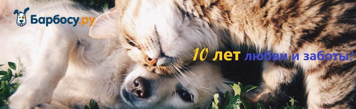 10 лет