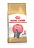 Сухой корм Royal Canin Kitten British Shorthair для котят породы Британская короткошерстная