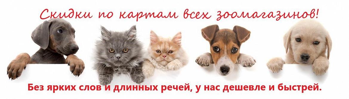 новые 