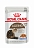 Консервы Royal Canin Ageing +12 в желе для пожилых кошек