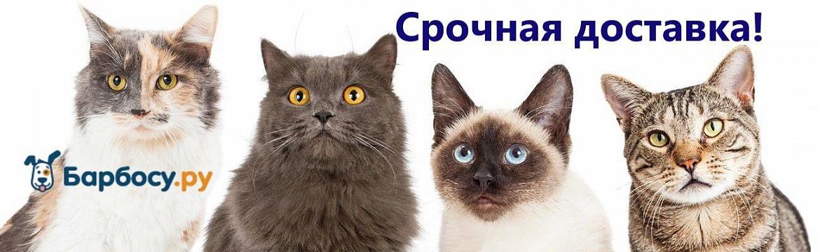 срочная доставка